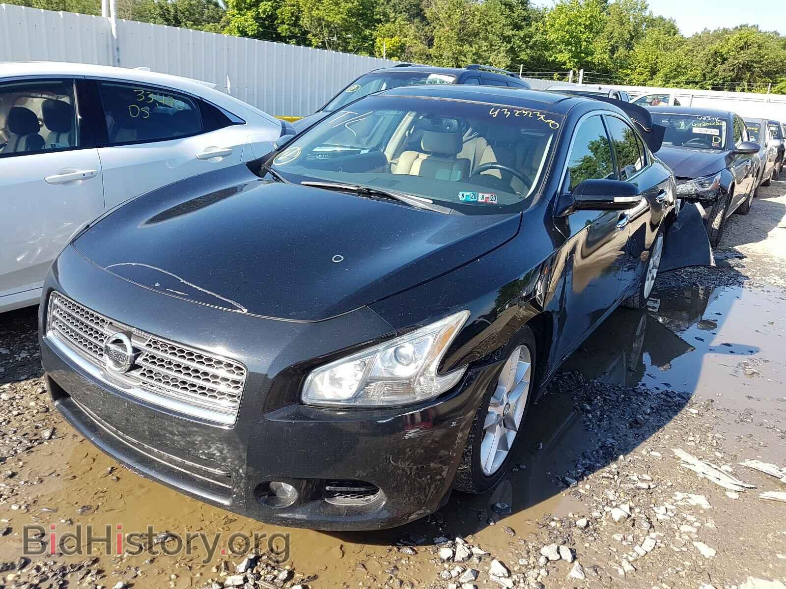 2011 NISSAN MAXIMA - VIN: 1N4AA5AP8BC851965 - Фото 2