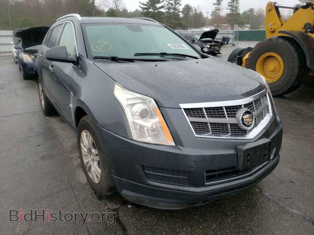 Photo 3GYFNDEY0BS515183 - CADILLAC SRX 2011