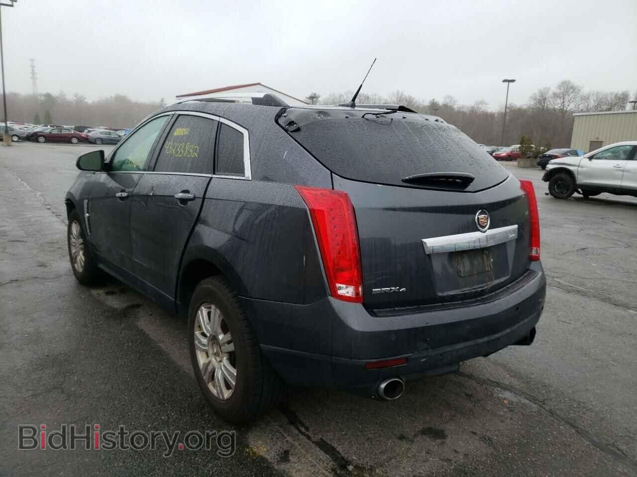 2011 CADILLAC SRX - VIN: 3GYFNDEY0BS515183 - Photo 3