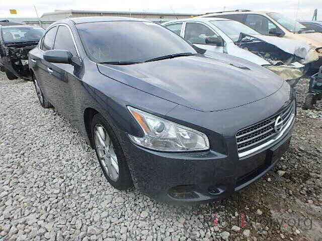 Photo 1N4AA51E99C856911 - NISSAN MAXIMA 2009