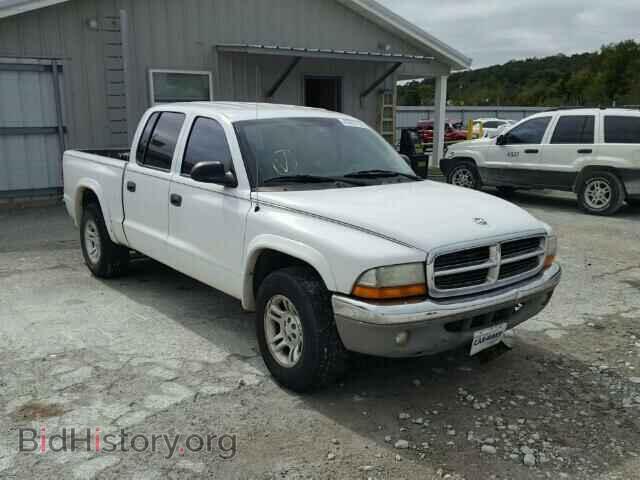 Photo 1D7HL48N34S540377 - DODGE DAKOTA 2004