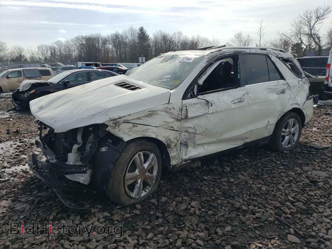 Photo 4JGDA5JB5DA101591 - MERCEDES-BENZ M-CLASS 2013