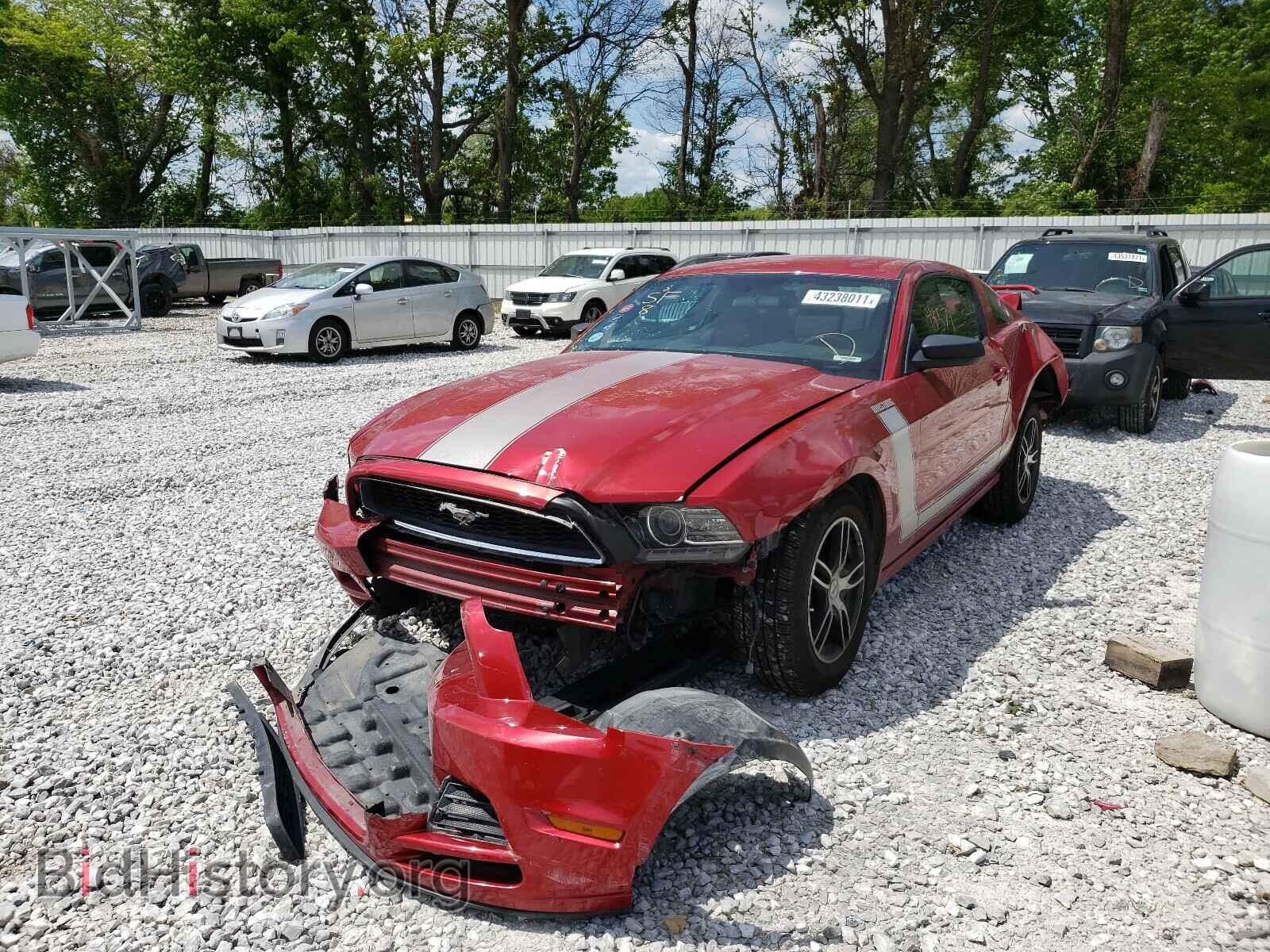 2013 FORD MUSTANG - VIN: 1ZVBP8AM1D5200623 - Фото 2