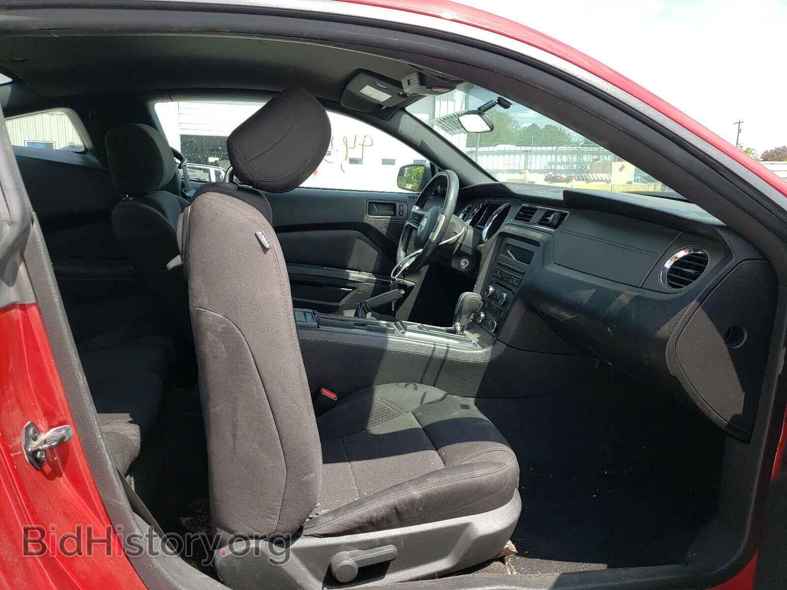 2013 FORD MUSTANG - VIN: 1ZVBP8AM1D5200623 - Фото 5