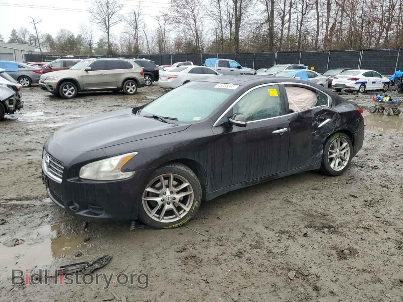 Фотография 1N4AA5AP1BC842671 - NISSAN MAXIMA 2011