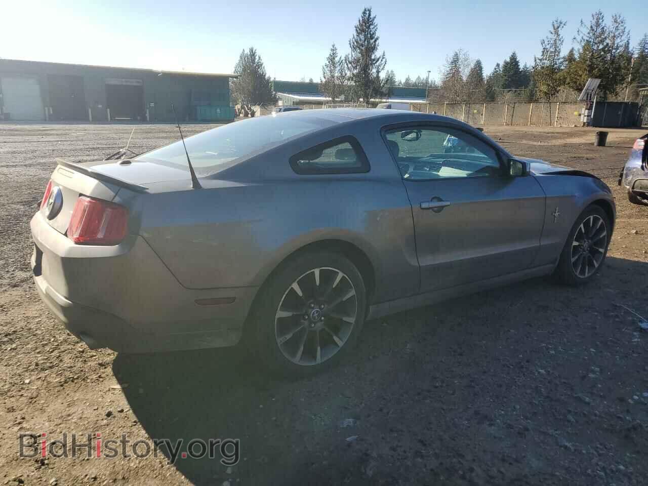 2010 FORD ALL Models - VIN: 1ZVBP8AN4A5131589 - Фото 3