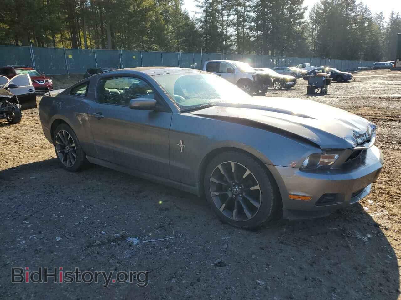 2010 FORD ALL Models - VIN: 1ZVBP8AN4A5131589 - Фото 4