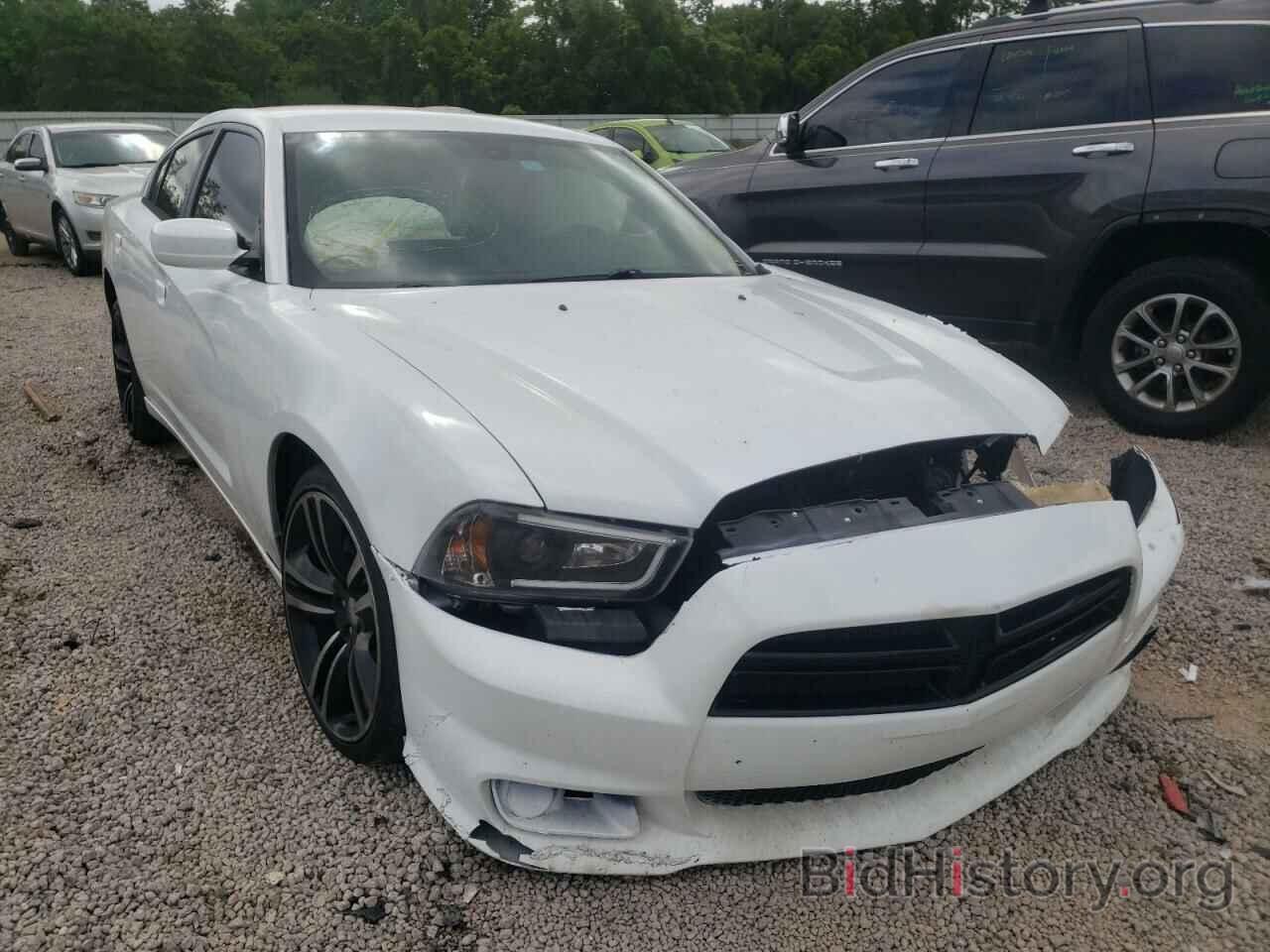 Photo 2C3CDXAT9DH701161 - DODGE CHARGER 2013