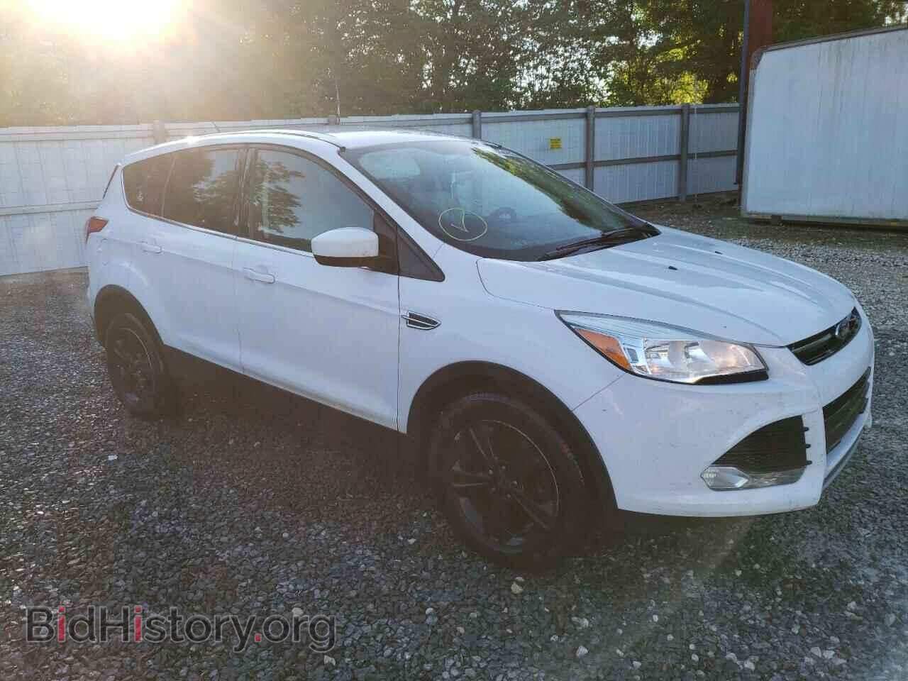 2014 FORD ESCAPE - VIN: 1FMCU9GX6EUC86201 - Фото 4