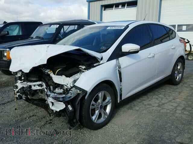 2013 FORD FOCUS - VIN: 1FADP3K29DL136554 - Фото 2