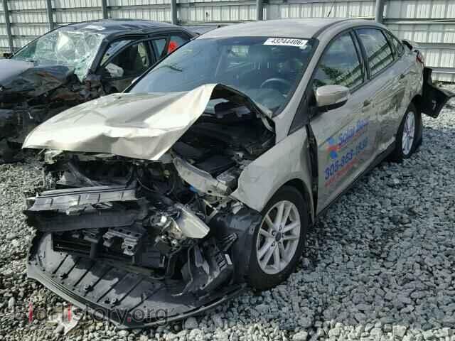 2015 FORD FOCUS - VIN: 1FADP3F26FL238567 - Фото 2