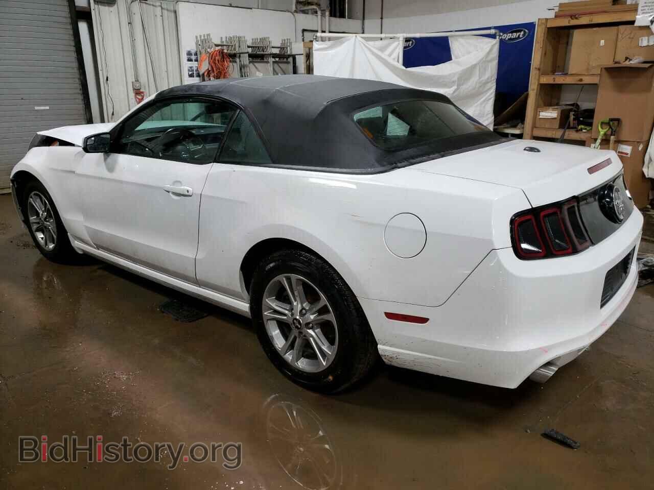 2014 FORD MUSTANG - VIN: 1ZVBP8EM7E5317313 - Фото 2