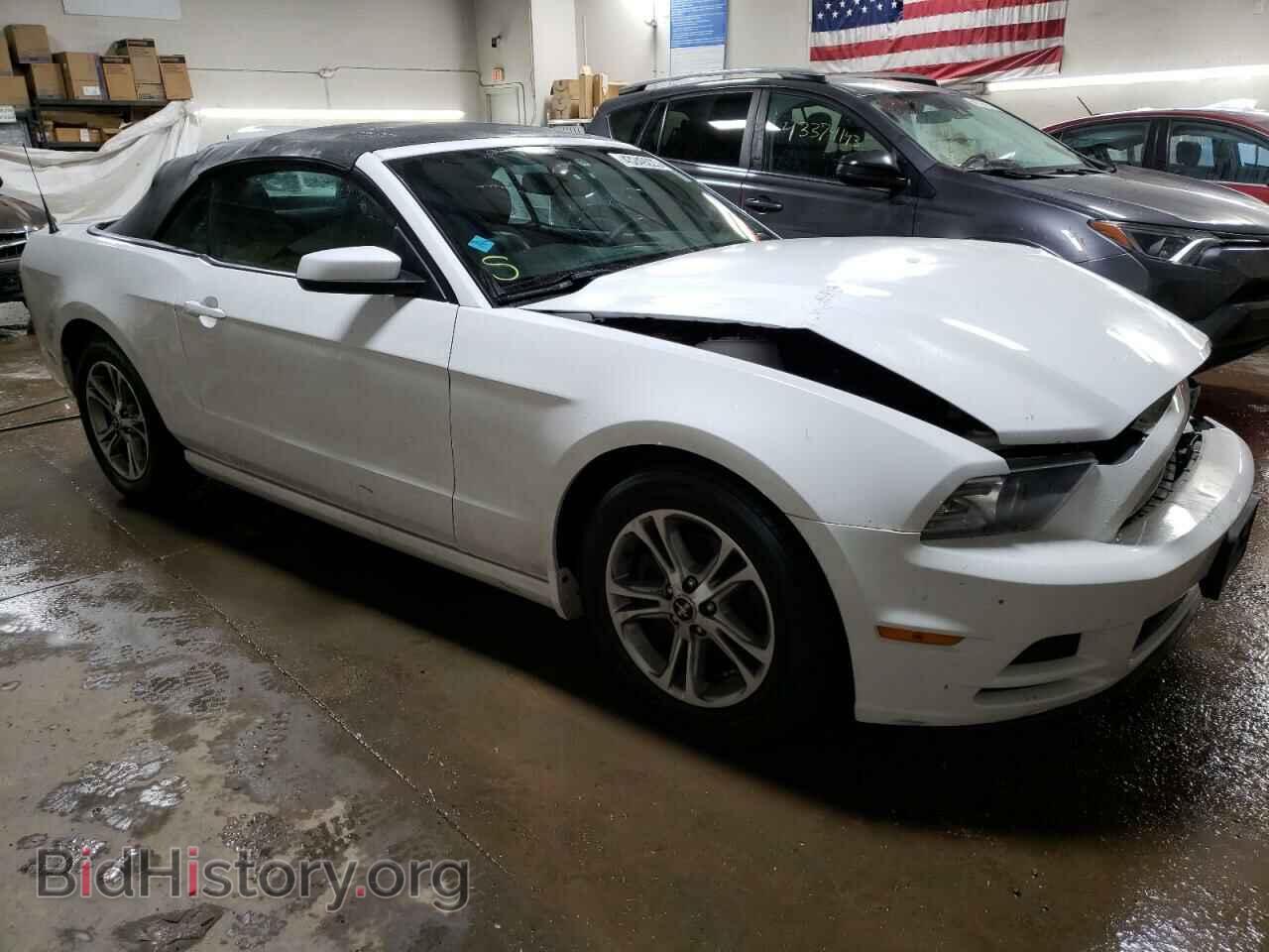 2014 FORD MUSTANG - VIN: 1ZVBP8EM7E5317313 - Фото 4