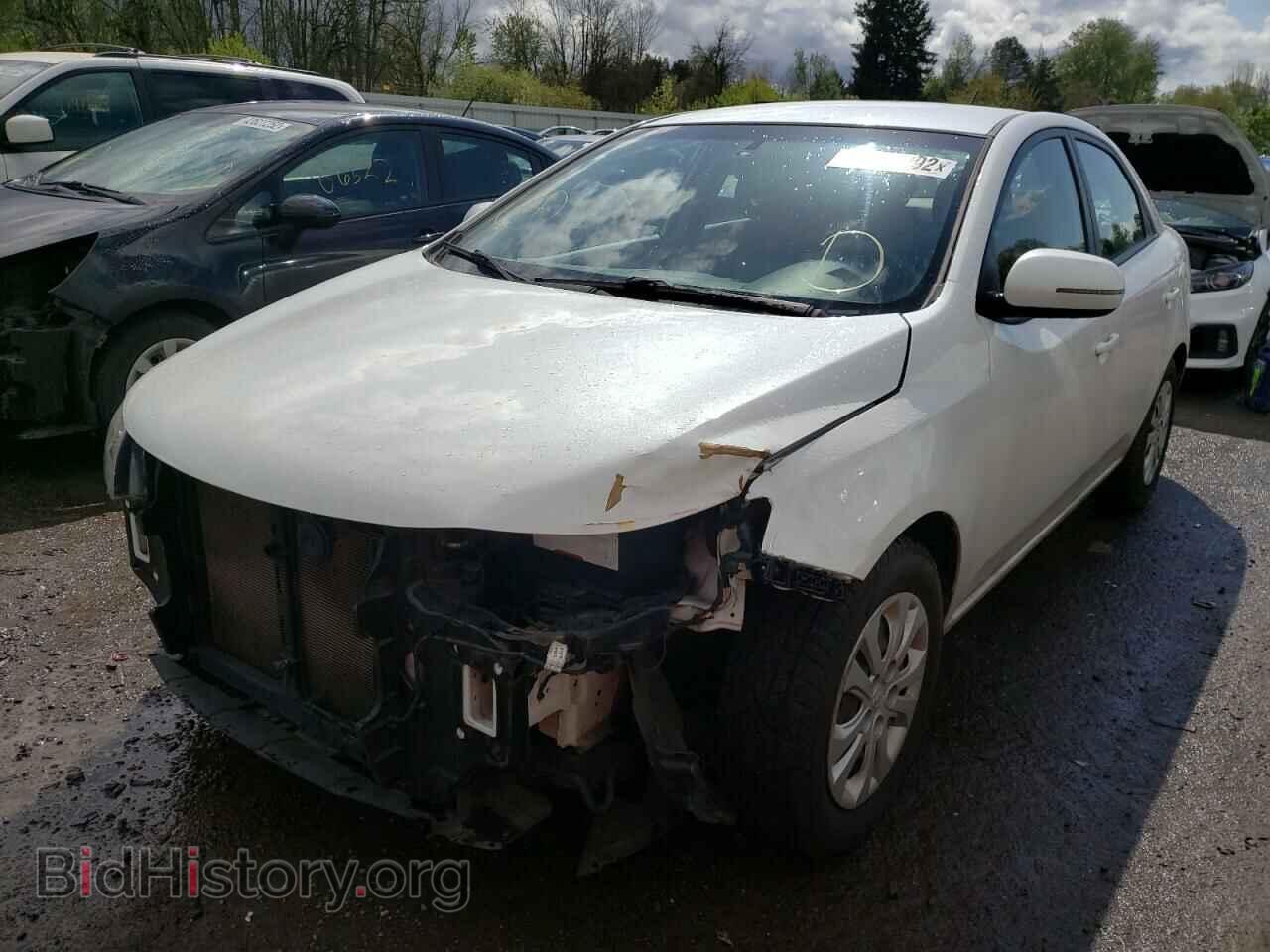 2012 KIA FORTE - VIN: KNAFU4A23C5519974 - Фото 2