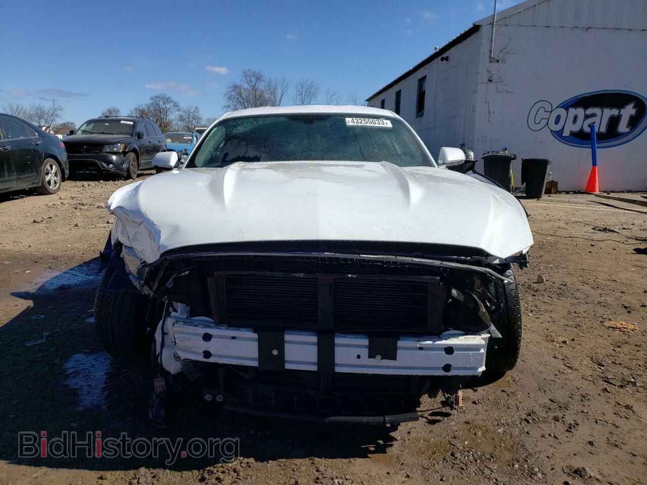 2017 FORD ALL Models - VIN: 1FA6P8TH9H5310299 - Фото 5