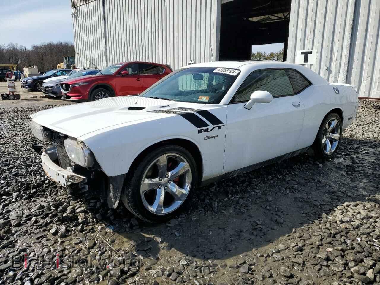 Photo 2C3CDYBT4DH592953 - DODGE CHALLENGER 2013