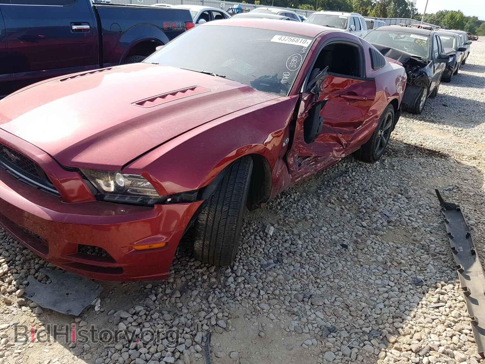 2014 FORD MUSTANG - VIN: 1ZVBP8CF4E5255342 - Фото 2