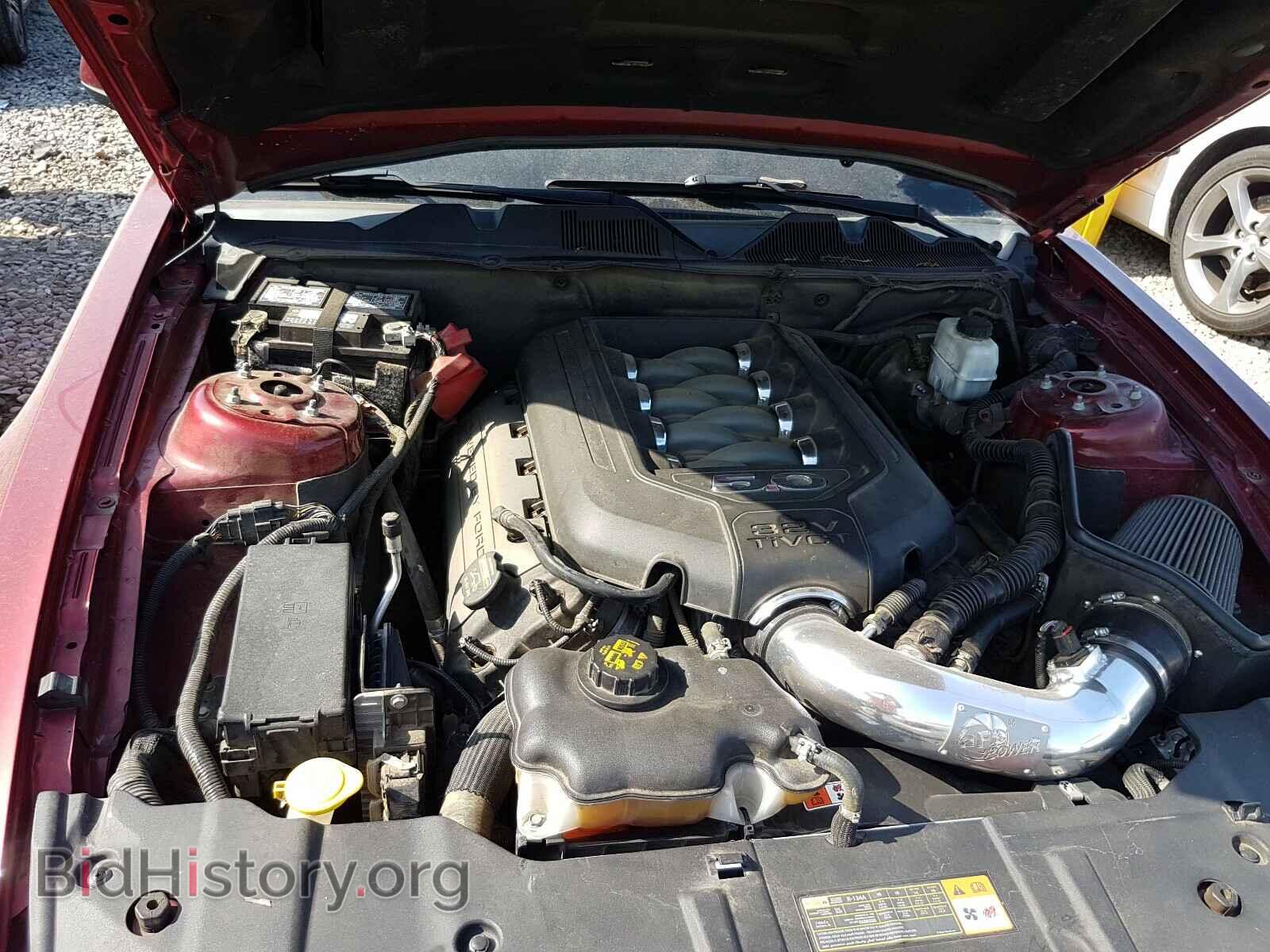 2014 FORD MUSTANG - VIN: 1ZVBP8CF4E5255342 - Фото 7