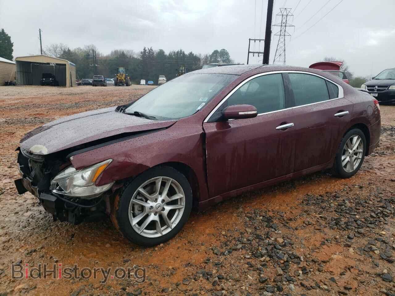 Фотография 1N4AA5AP1AC821043 - NISSAN MAXIMA 2010