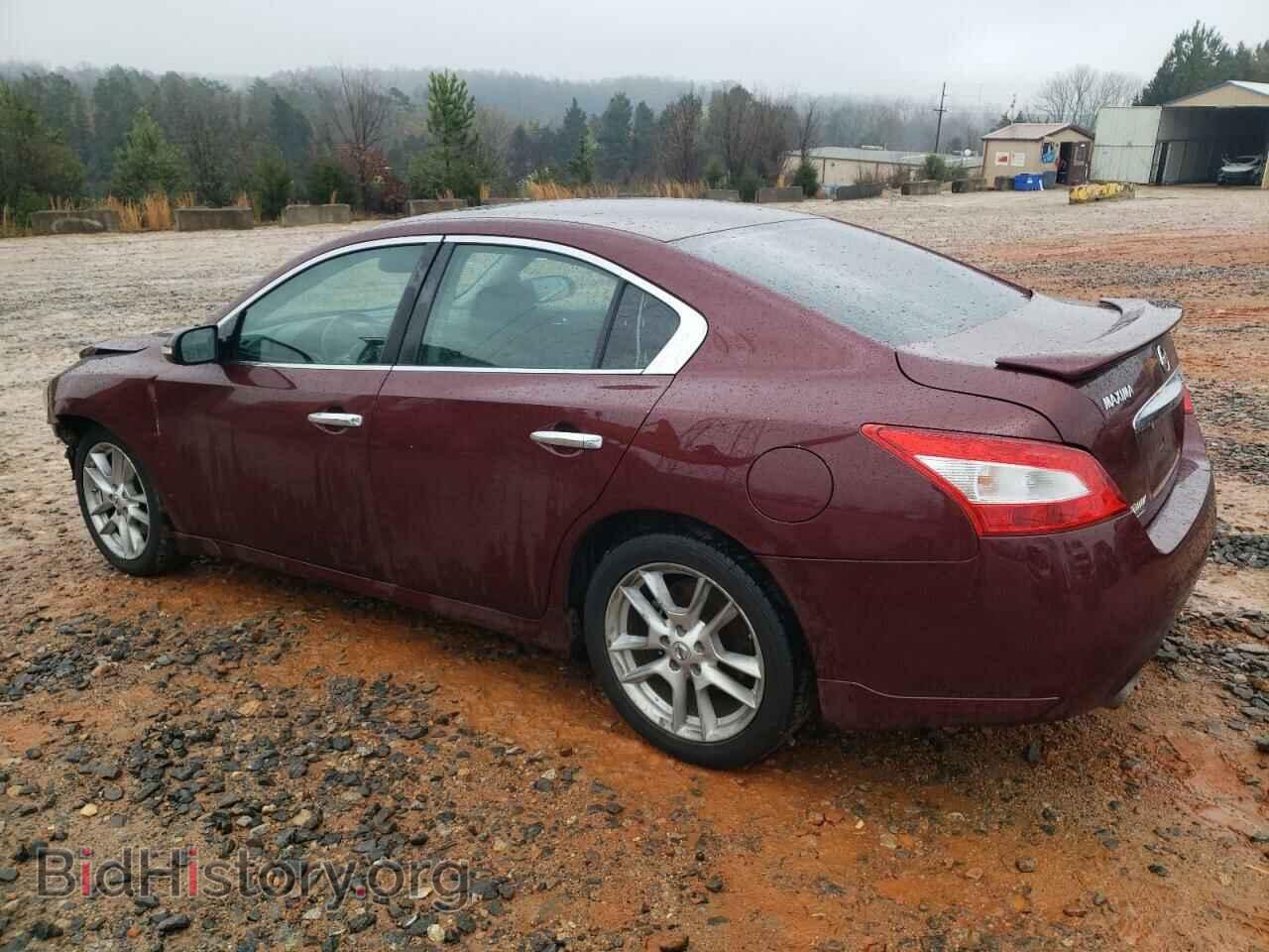 2010 NISSAN MAXIMA - VIN: 1N4AA5AP1AC821043 - Фото 2