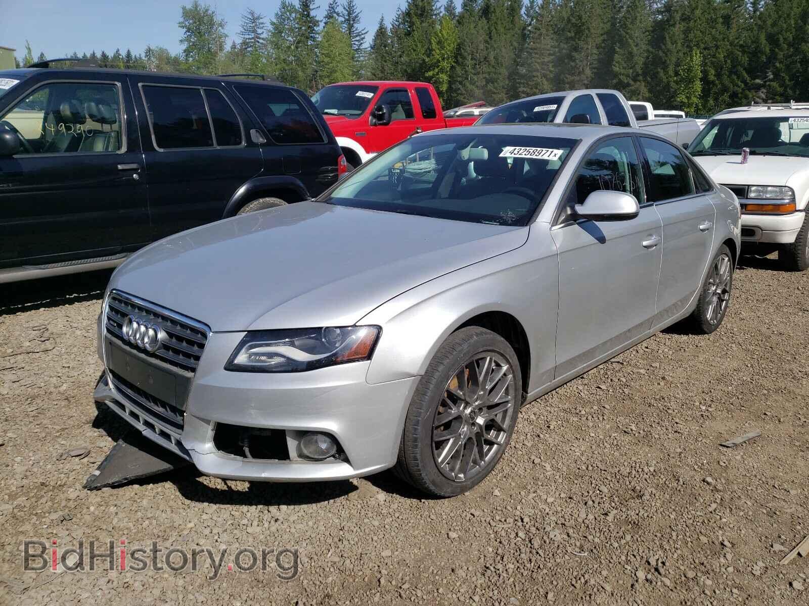 2010 AUDI A4 - VIN: WAUFFAFL2AN030036 - Фото 2