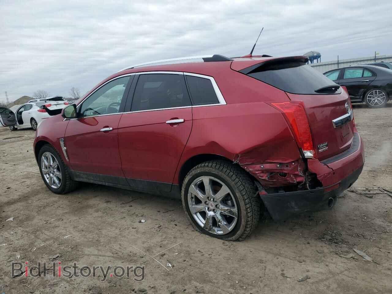2010 CADILLAC SRX - VIN: 3GYFNBEY1AS545179 - Фото 2