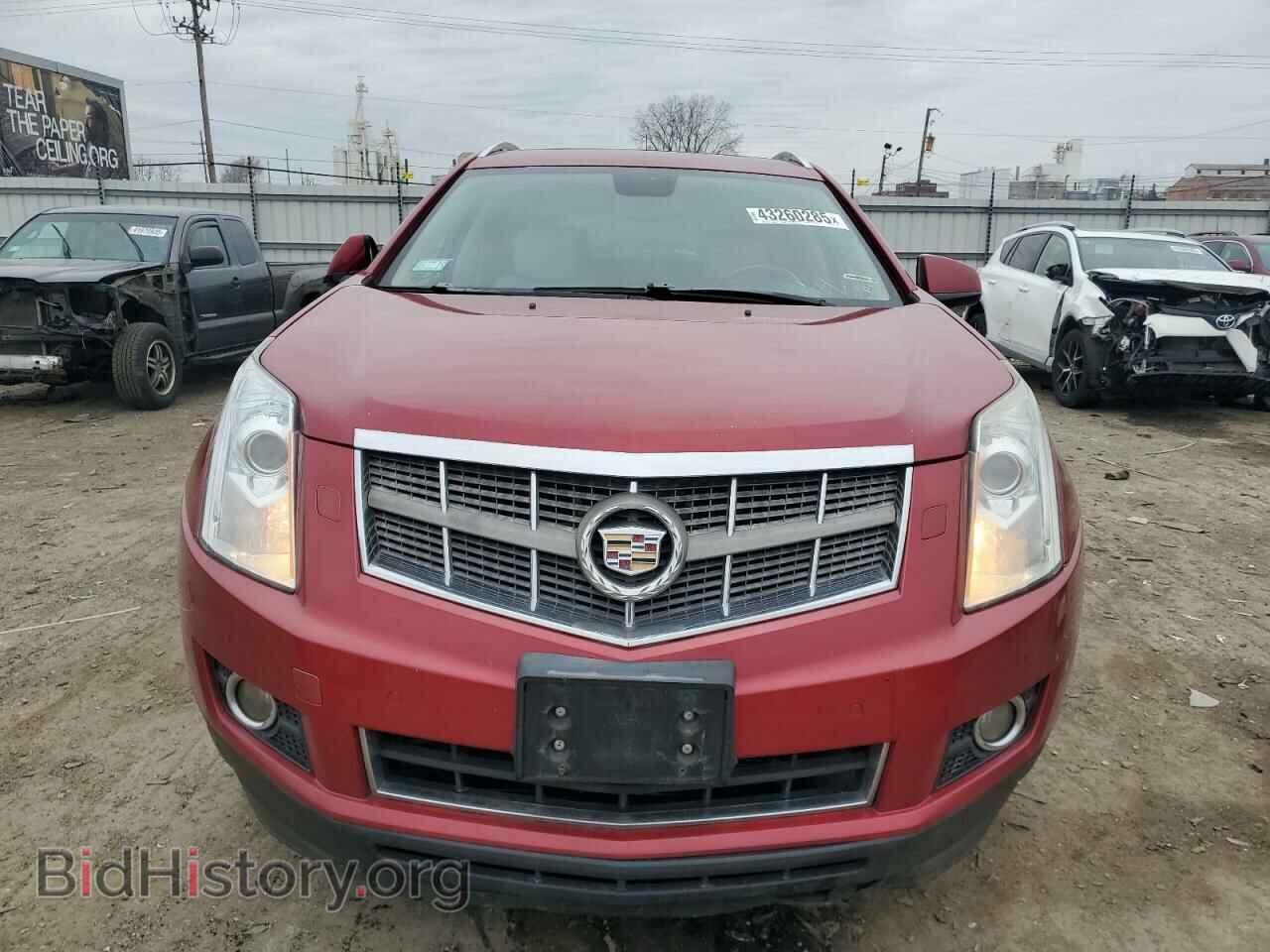 2010 CADILLAC SRX - VIN: 3GYFNBEY1AS545179 - Фото 5