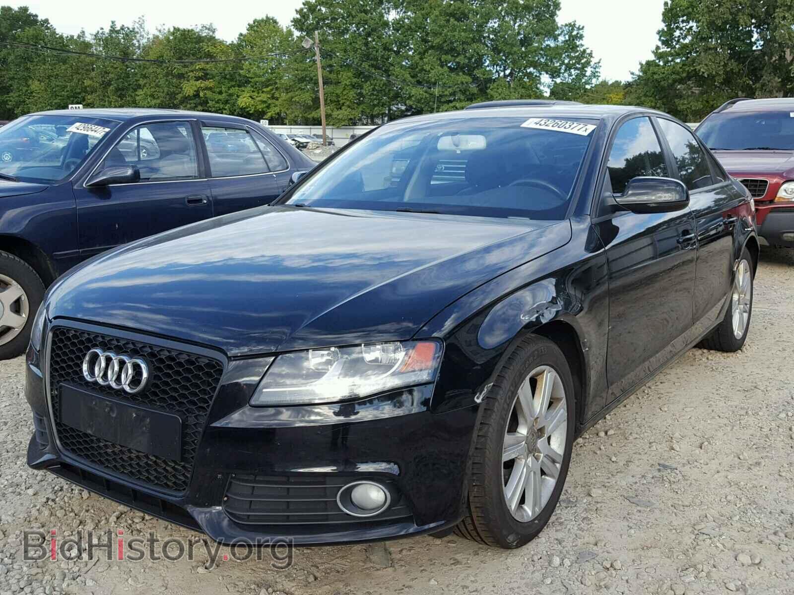 2010 AUDI A4 - VIN: WAUDFAFL7AN067963 - Фото 2