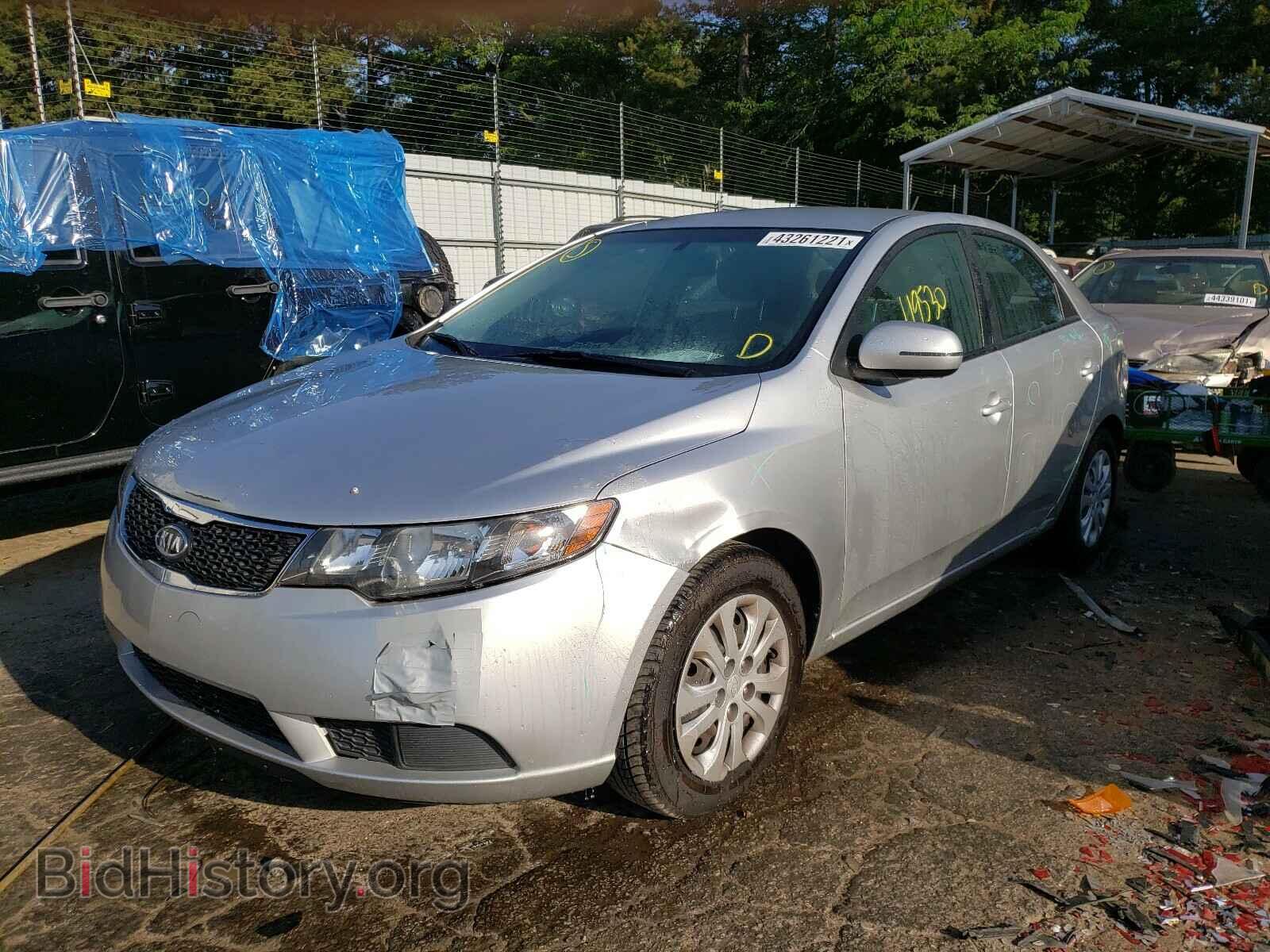 2013 KIA FORTE - VIN: KNAFU4A25D5695197 - Фото 2