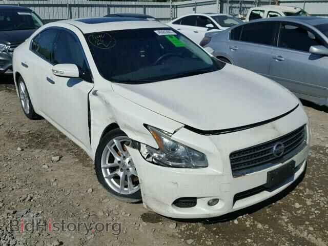 Фотография 1N4AA5APXBC842037 - NISSAN MAXIMA 2011