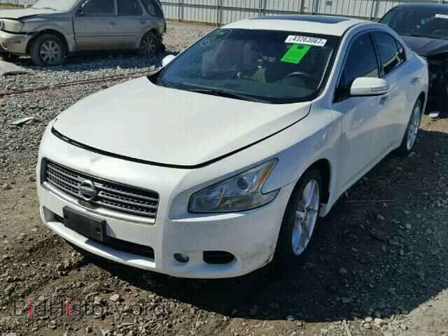 2011 NISSAN MAXIMA - VIN: 1N4AA5APXBC842037 - Фото 2