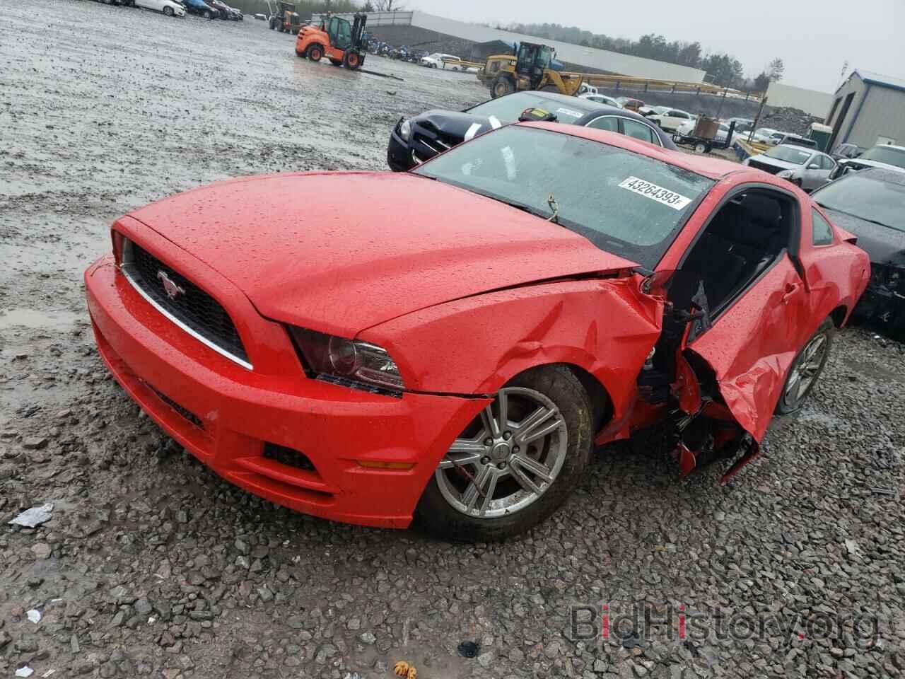 Photo 1ZVBP8AM1E5334341 - FORD MUSTANG 2014
