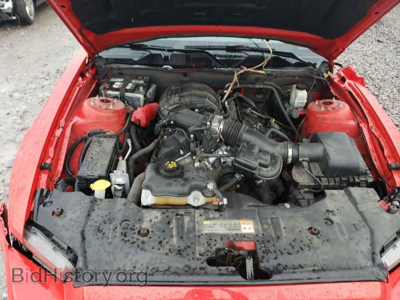 2014 FORD MUSTANG - VIN: 1ZVBP8AM1E5334341 - Фото 11
