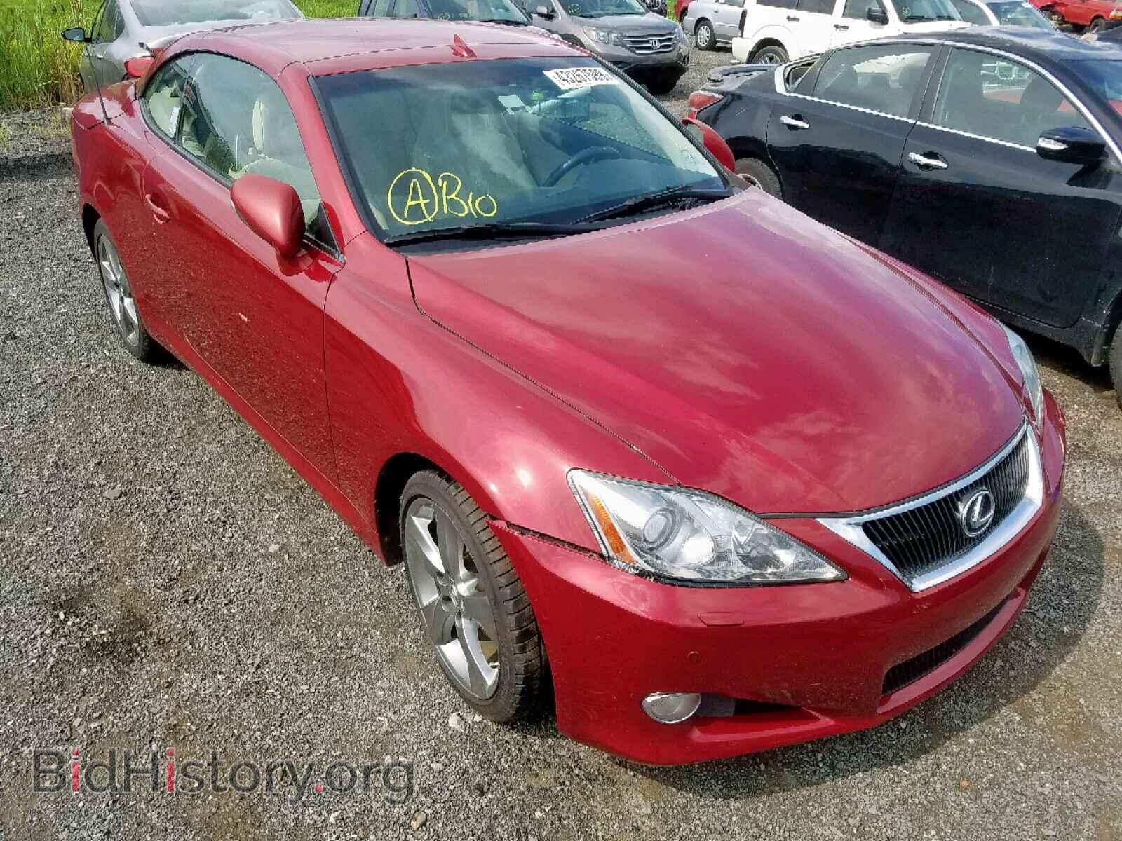 Photo JTHFF2C23A2508341 - LEXUS IS 250 2010