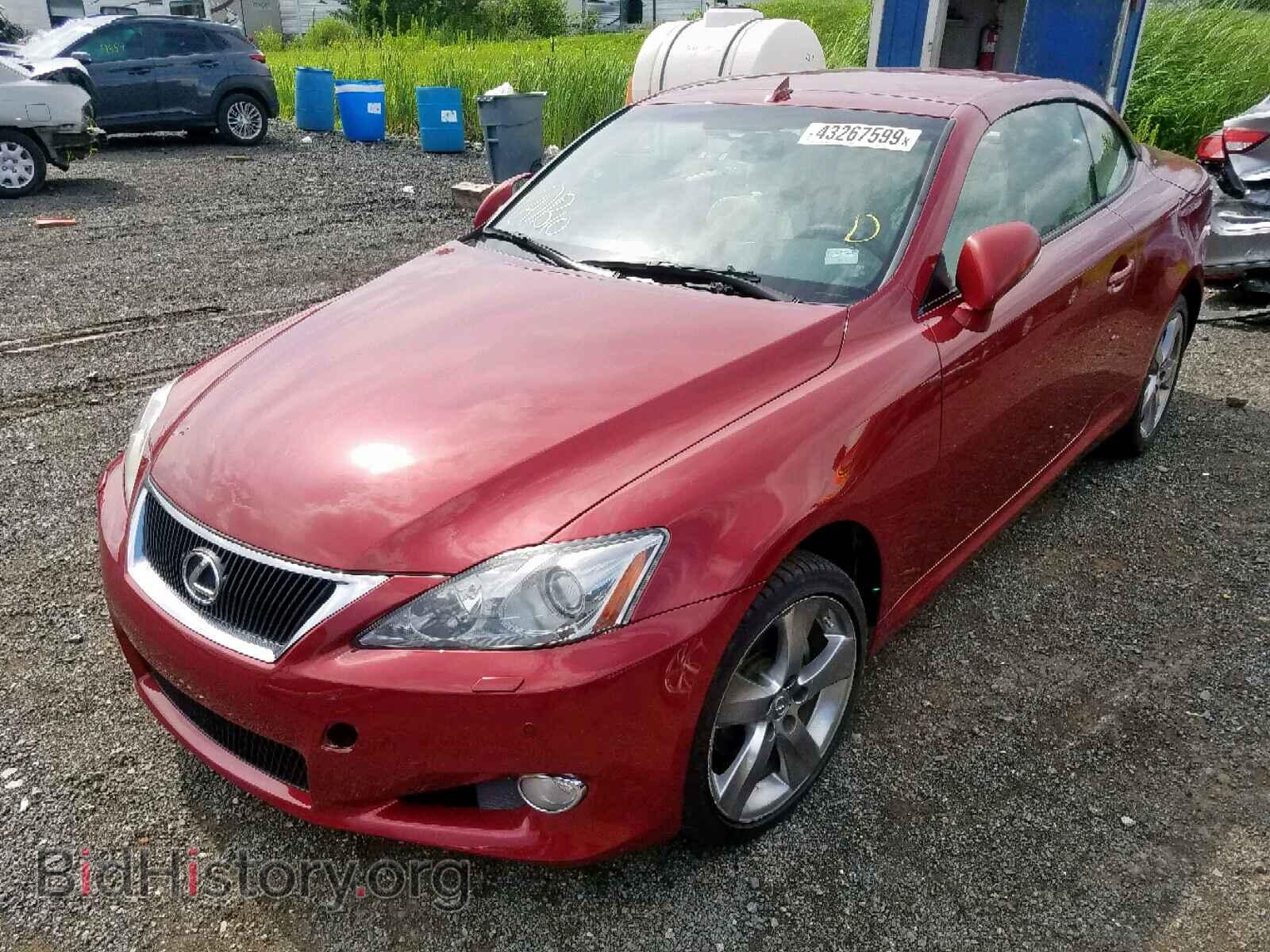 2010 LEXUS IS 250 - VIN: JTHFF2C23A2508341 - Фото 2