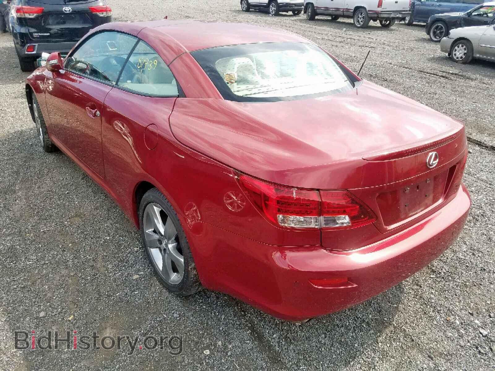 2010 LEXUS IS 250 - VIN: JTHFF2C23A2508341 - Фото 3