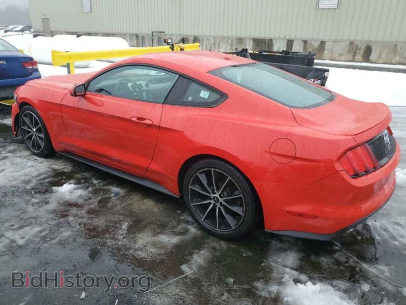 2016 Ford ALL MODELS (VIN 1FA6P8TH2G5225125) — фото 2 из 12