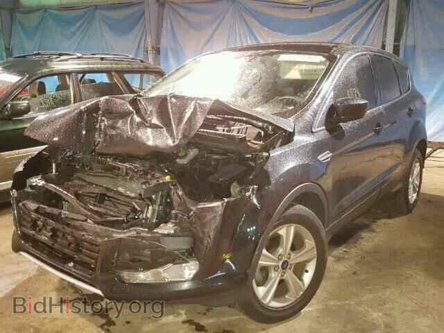 2014 FORD ESCAPE - VIN: 1FMCU0GX4EUD78046 - Photo 2