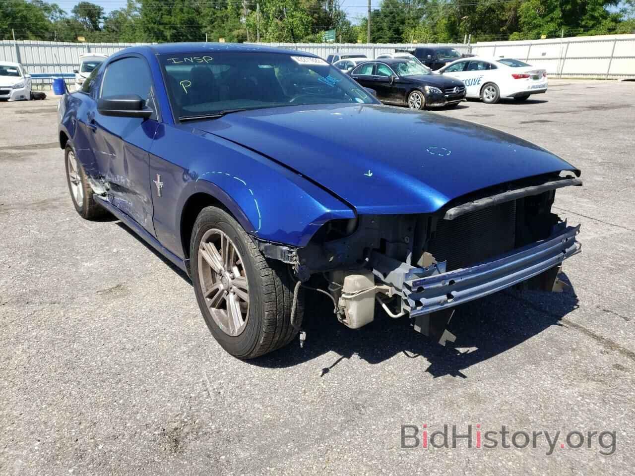 Photo 1ZVBP8AM5E5320748 - FORD MUSTANG 2014
