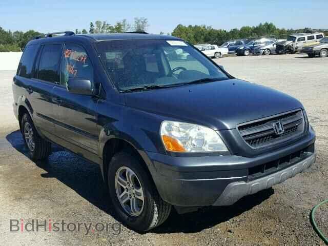 Фотография 5FNYF18665B026269 - HONDA PILOT 2005