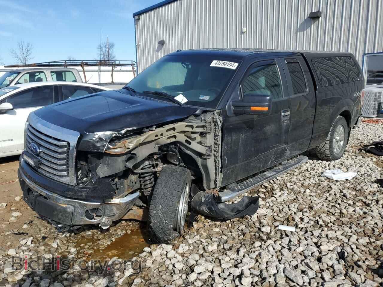 Фотография 1FTFX1EF8CFB33292 - FORD F-150 2012