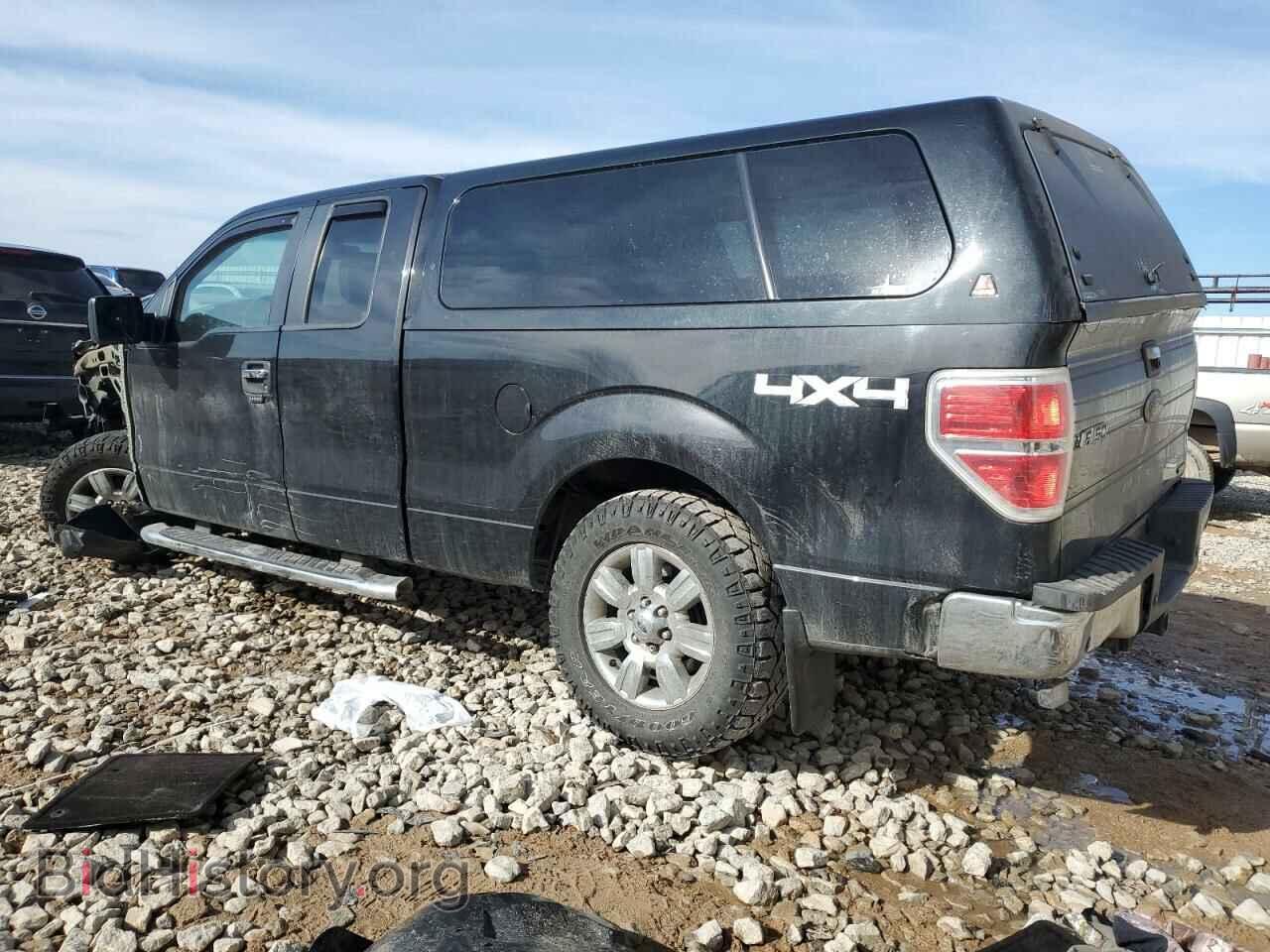 2012 FORD F-150 - VIN: 1FTFX1EF8CFB33292 - Фото 2