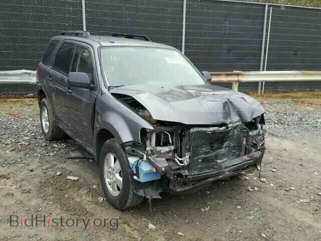 Фотография 1FMCU0D75BKA25701 - FORD ESCAPE 2011