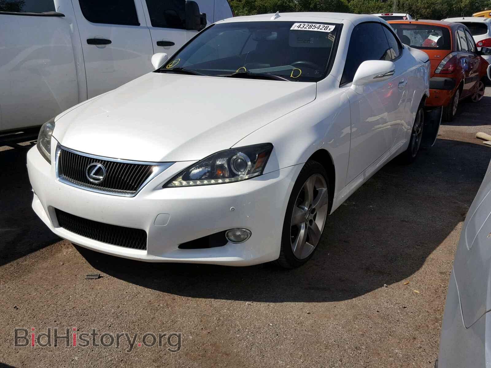 2011 LEXUS IS 250 - VIN: JTHFF2C23B2515484 - Фото 2