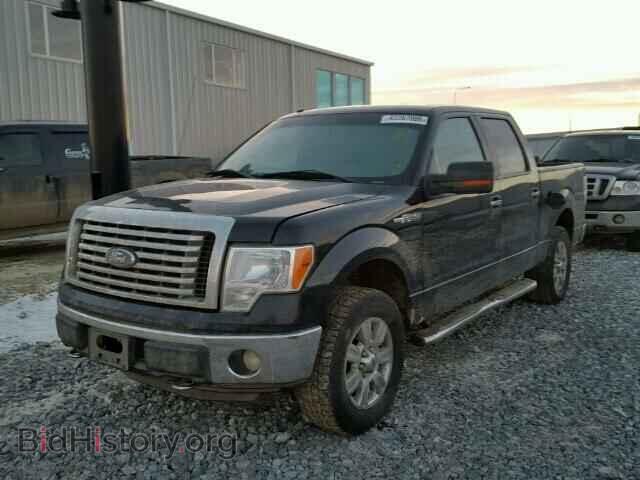 2011 FORD F150 - VIN: 1FTFW1EF9BFB79201 - Фото 2