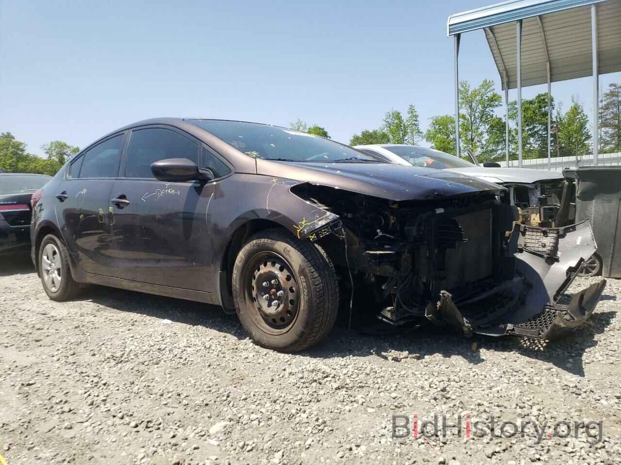 Photo 3KPFK4A79HE071966 - KIA FORTE 2017