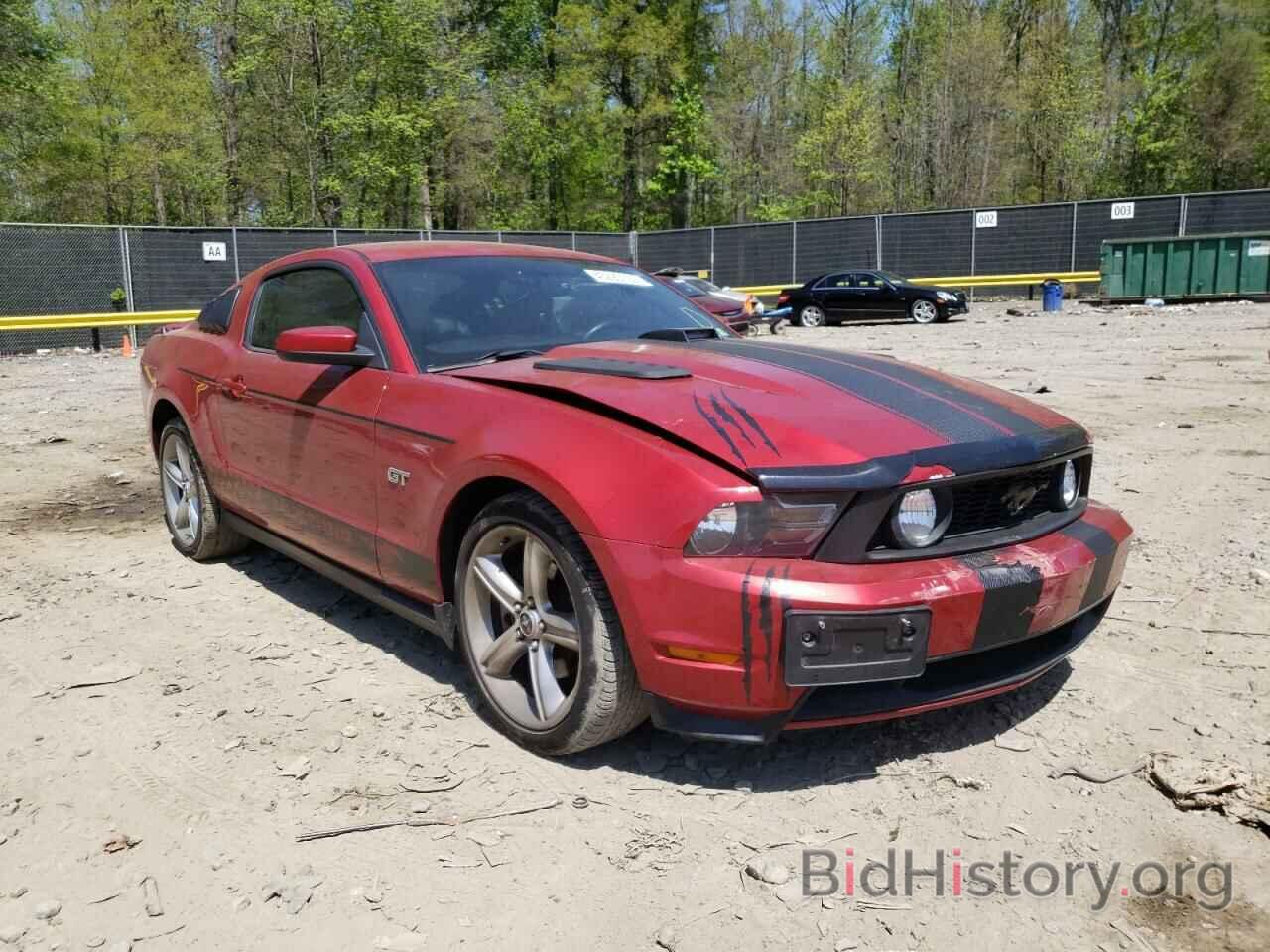 Photo 1ZVBP8CH9A5181086 - FORD MUSTANG 2010