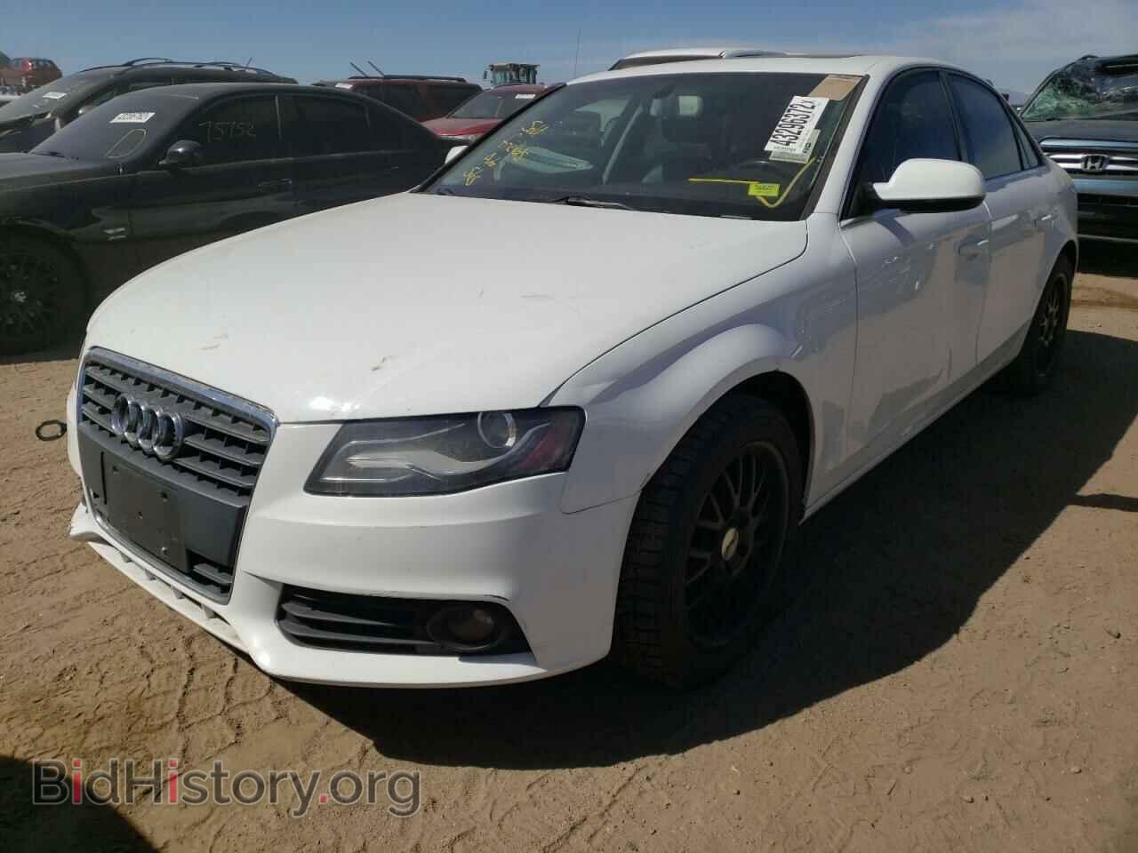 2010 AUDI A4 - VIN: WAUFFAFL5AN054010 - Фото 2