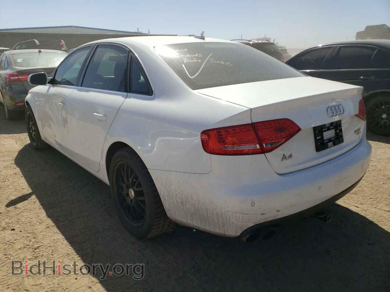 2010 AUDI A4 - VIN: WAUFFAFL5AN054010 - Фото 3