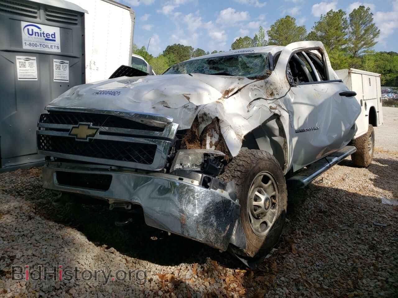 2011 CHEVROLET SILVERADO - VIN: 1GB1CVCL7BF169578 - Фото 2